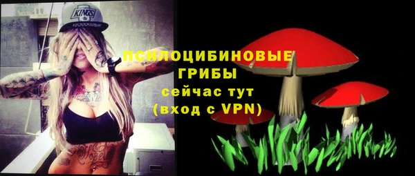 индика Белоозёрский