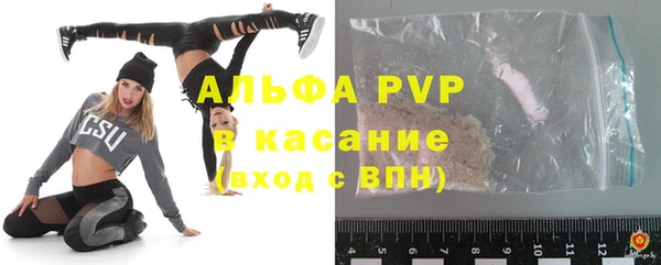 индика Белоозёрский