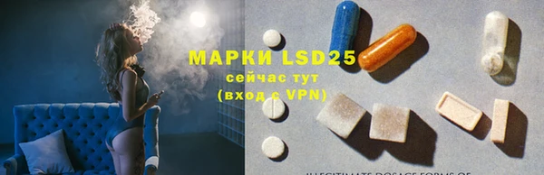 индика Белоозёрский
