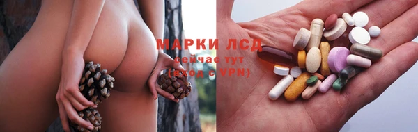 эйфоретик Беломорск