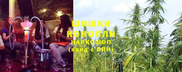 индика Белоозёрский