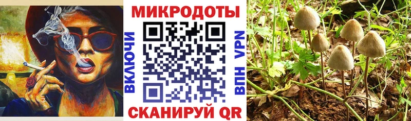 Псилоцибиновые грибы MAGIC MUSHROOMS  Курильск 